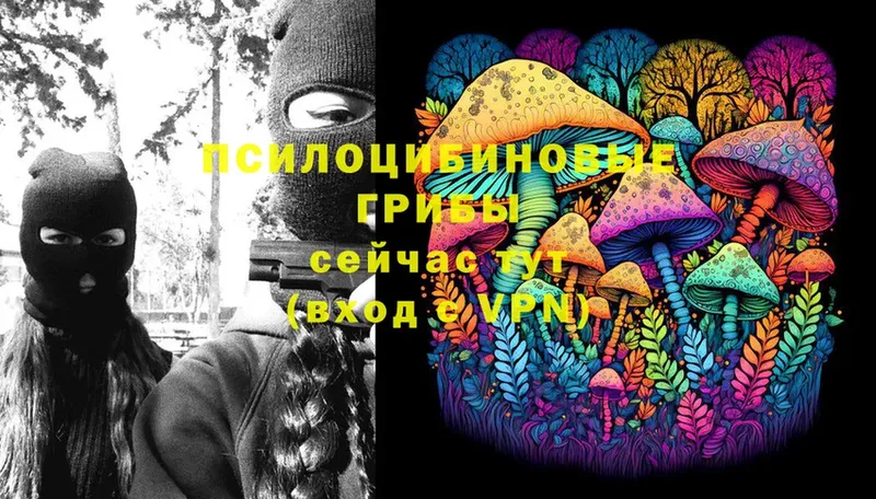 Галлюциногенные грибы Magic Shrooms Зеленодольск